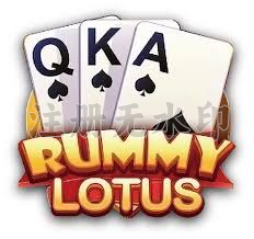 Rummy Lotus APK Icon